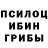 Псилоцибиновые грибы Psilocybine cubensis Joseph Monti