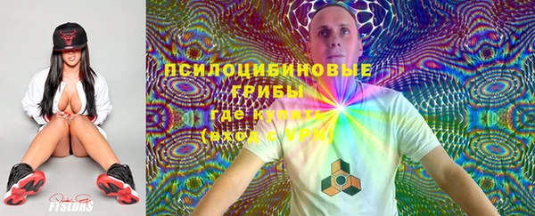 СК Богданович