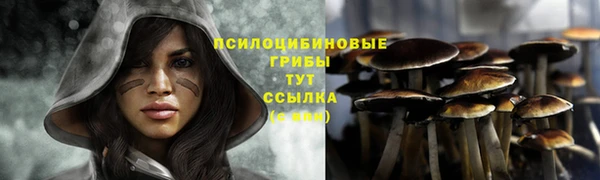 СК Богданович