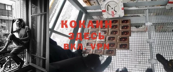 бошки Верея