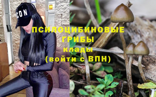 mdpv Богородск