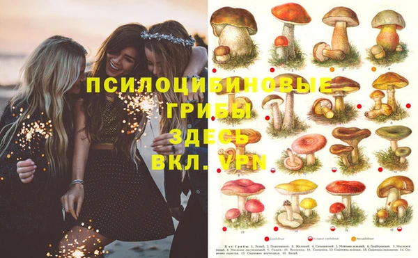 2c-b Богородицк